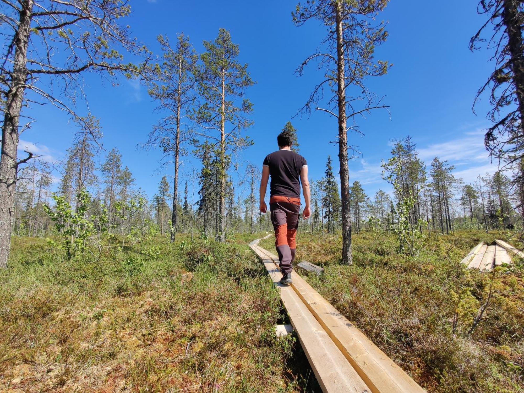Langforsen Glamping & Lapland Experience Hotel Lapptrask Kültér fotó