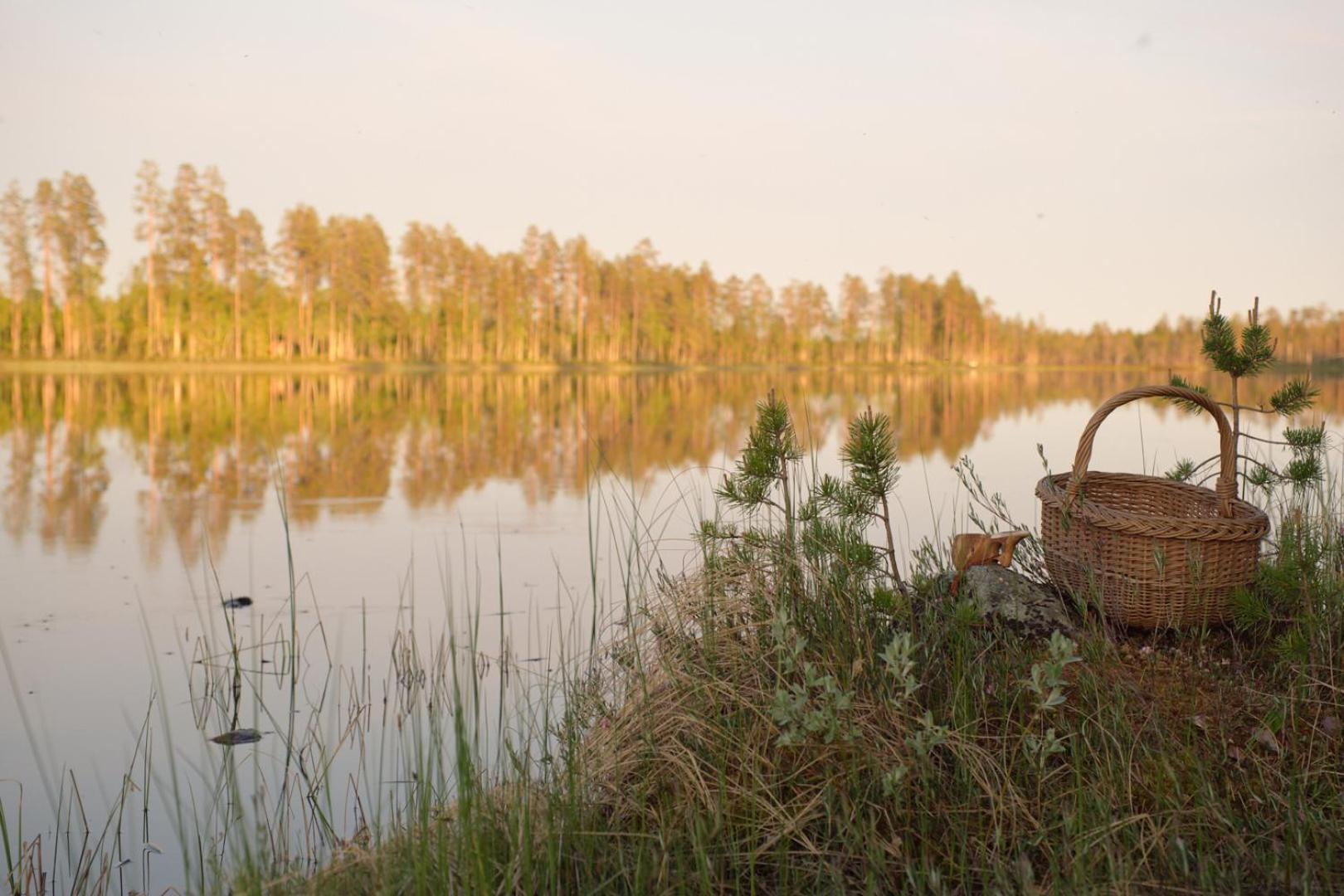 Langforsen Glamping & Lapland Experience Hotel Lapptrask Kültér fotó