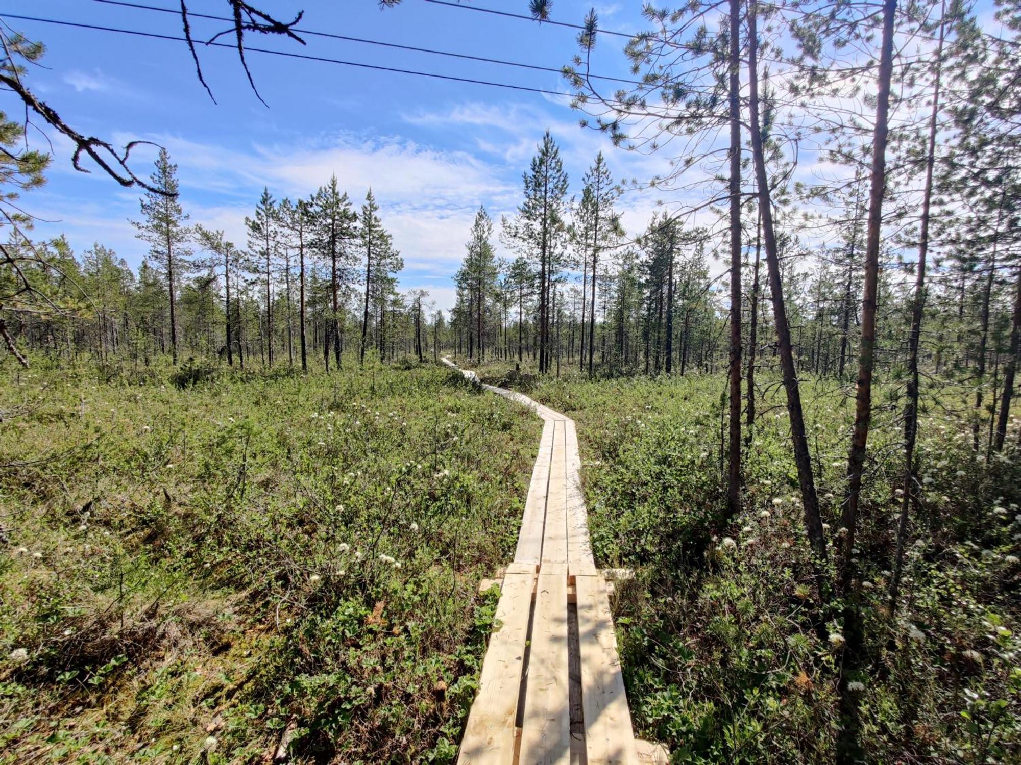 Langforsen Glamping & Lapland Experience Hotel Lapptrask Kültér fotó