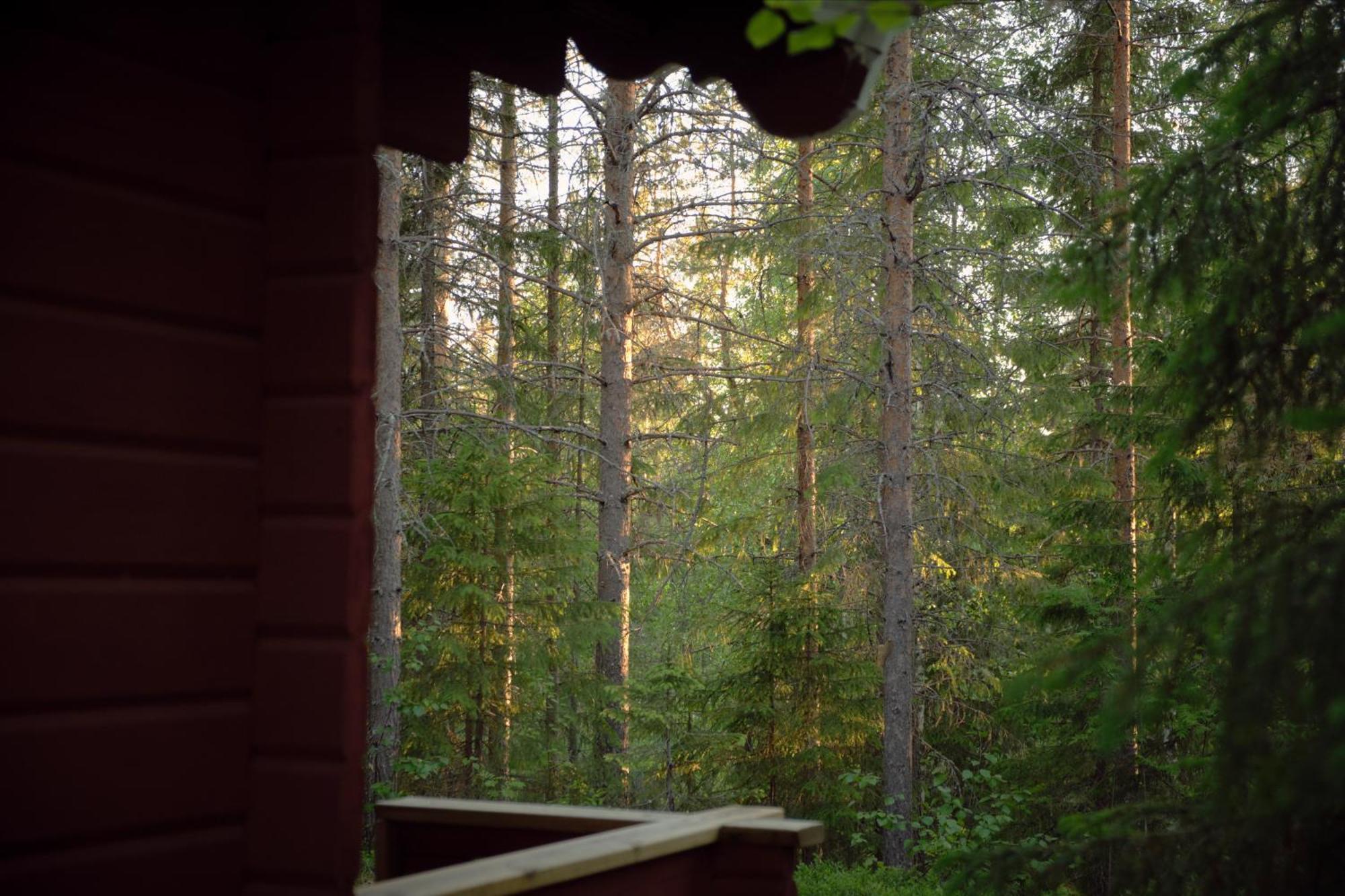 Langforsen Glamping & Lapland Experience Hotel Lapptrask Kültér fotó